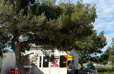 Diamond Coast Mobile Home - Photo 38