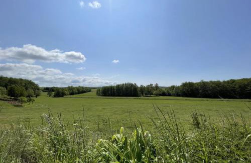 Sonnengelb - Fulgenhaus - Foto 5