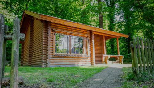 Les chalets du centre - Foto 2