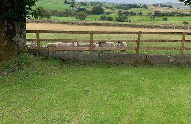 Ivy House Farm, Near Longnor - Foto 10