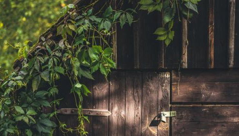 Apartamenty EverySky Janice - Foto 2, Garden view