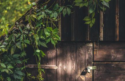 Apartamenty EverySky Janice - Foto 2