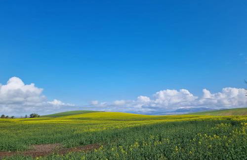 Harbourside - Foto 43