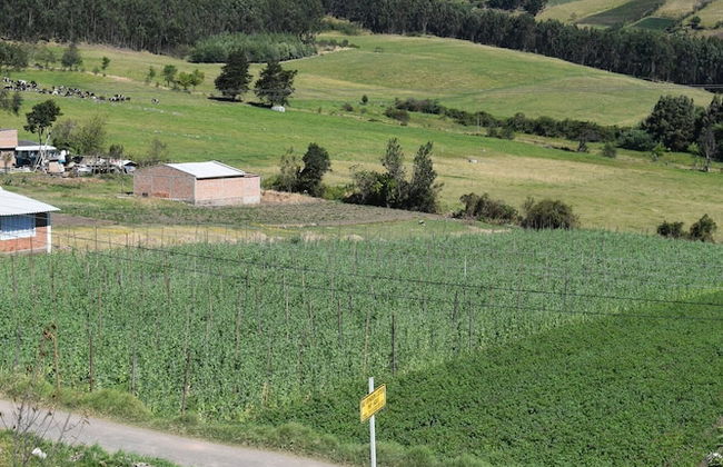 Serene Mountain Retreat in Pasto, Colombia - Your Home Away From Home - Foto 12