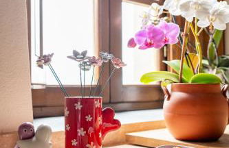 Podere del Pari - Foto 43