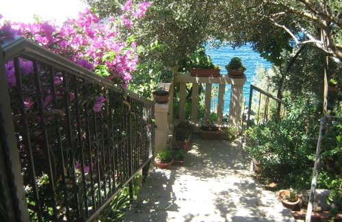 Apartments by the sea Zaklopatica, Lastovo - 8346 - Foto 11