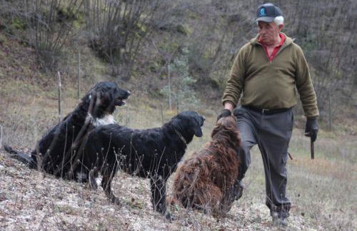 La Pintura - Photo 21