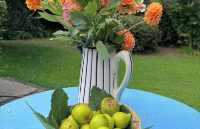 No Meio da Natureza - Turismo No Espaco Rural - Foto 49