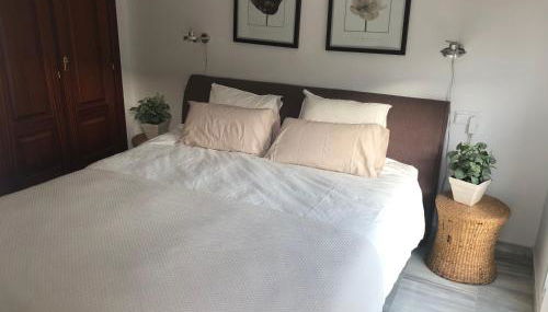 Casa los Olivos - Photo 4