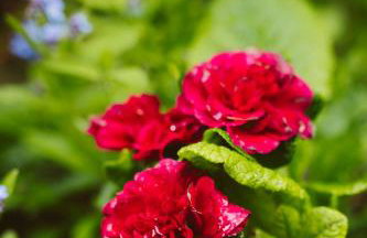 Agroturystyka u Miłosza - Foto 27