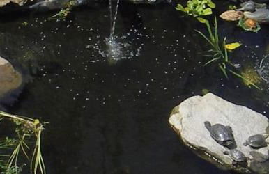 Haus Ruhland - Photo 38