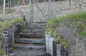 Old Toll Road Inn - Foto 40