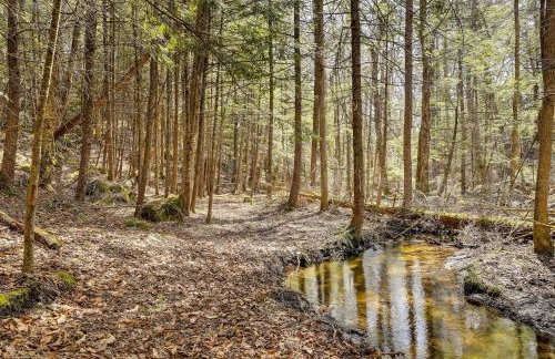 Lake George Oasis with 9 Acres, Hot Tub and Game Room! - Foto 45