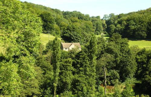 Owlpen Manor Cottages - Foto 75