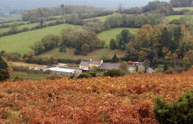 Relaxing Holidays in the Old Water Mill at Cwmiar - Photo 17