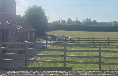 The Beautiful Barn - Foto 13