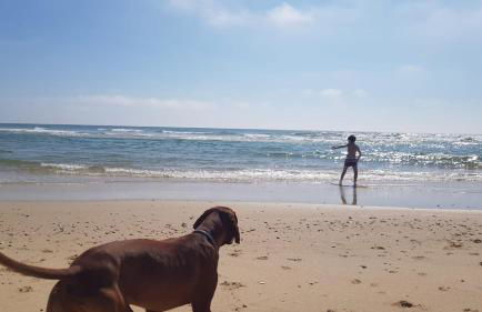 Boho Beach Apartment - Foto 44