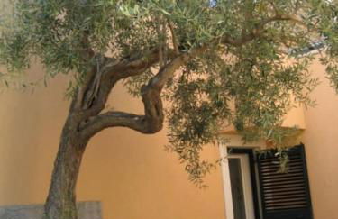 Casa Spisidda Appartamento monolocale "Vulcano" per 4 persone con vista sulle Eolie - Foto 67