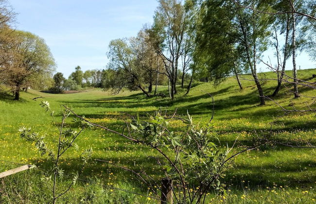 4 Star Holiday Home in Munka-ljungby - Foto 23