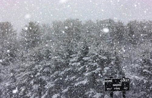 Cozy Cabin Style Apt Private 1st Flr 1 Bdrm - Foto 39