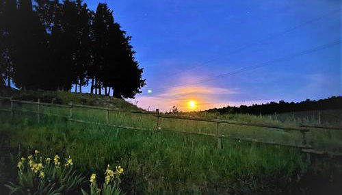 Podere La Selva - Foto 2