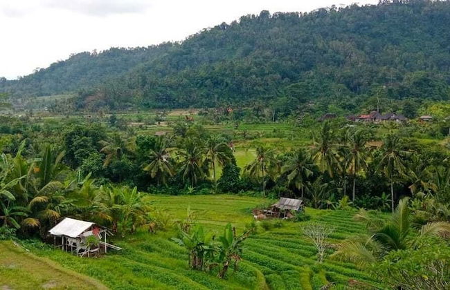 Beji Ayu Villas Sidemen - Foto 79