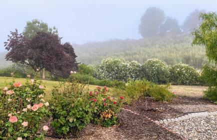 Vista Vine Cottage - Photo 1