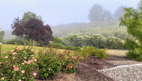 Vista Vine Cottage - Foto 1