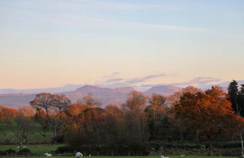 Ty'n Ffridd Bach - Photo 26