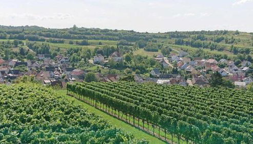 Ferien im Heckenland - Foto 3