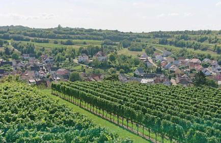 Ferien im Heckenland - Foto 3