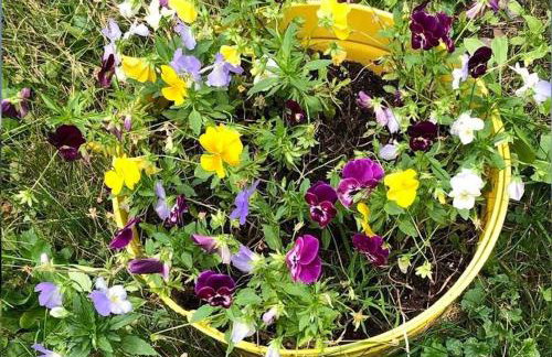 Peaceful Cozy Cottage in the Vermont Woods - Foto 17