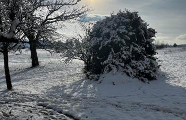 Ruhiges wohnen mit Bergblick - Foto 16