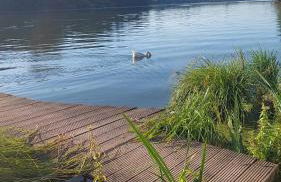 Helle Ferienwohnung in Nettetal bei Venlo - Foto 23