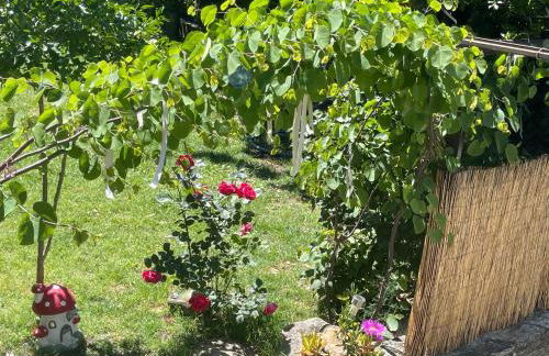 Talos House - Photo 18