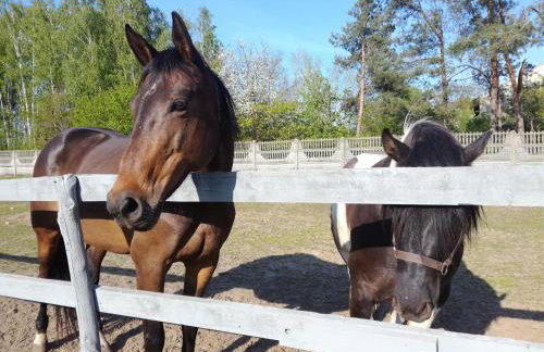 Nowa Wola 58 - 200qm appartment in a small village, with pool, sauna and big garden - Foto 45