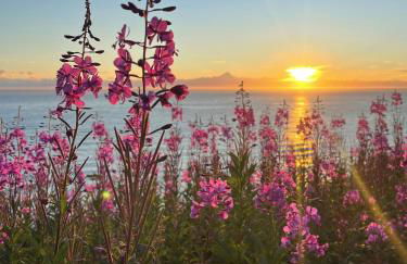 Lost Anchor Cabins - Ocean-view cabins on the bluff - Foto 27