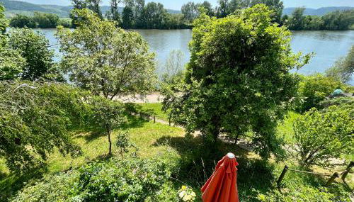 Moselglück - Foto 2