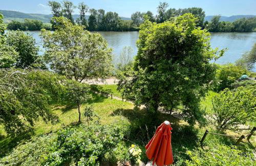 Moselglück - Foto 2