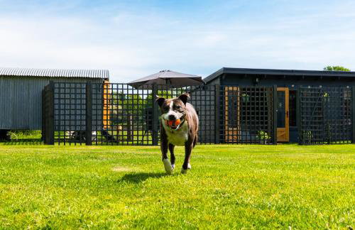 Little Acres - Foto 7