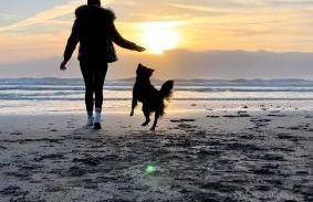 Sunset sea view chalet with hot tub - Photo 25