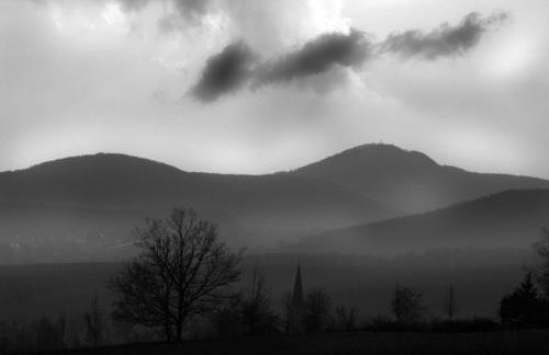 Ferienwohnung Am Heideborn - Photo 7