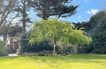 Cosy Cabin, hidden from the main house - Sleeps 2 - EV - Foto 29