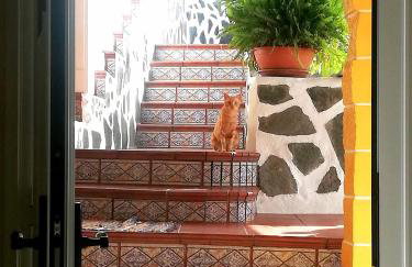 Casa cueva El Balcón del Cortijo - Foto 15