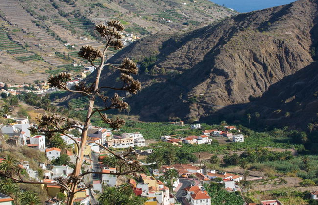 Suites Los Telares - Adults Recommended - Foto 10