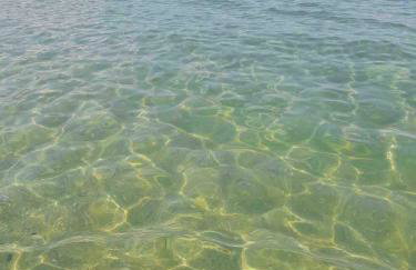 Seaview Lovely One bedroom holiday apartment - Photo 9