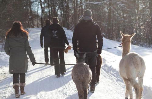 Blockhaus am Edersee - Foto 26