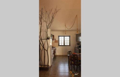 Gosto do Campo - Foto 6