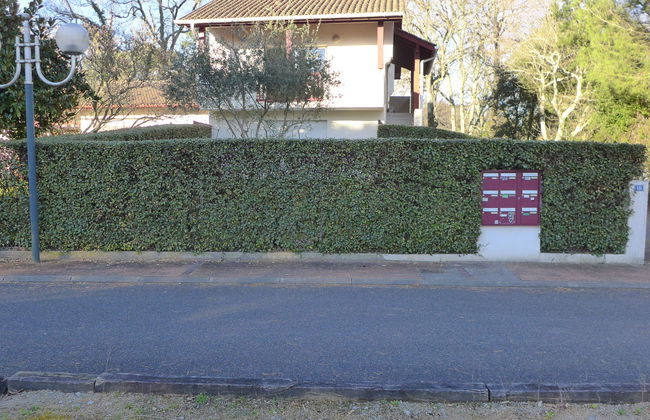 Les écureuils - Foto 16