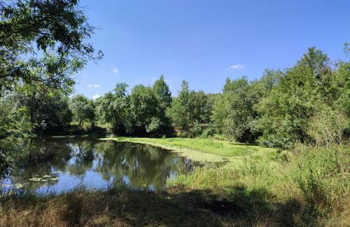 Gîte insolite La Renouée - Foto 20